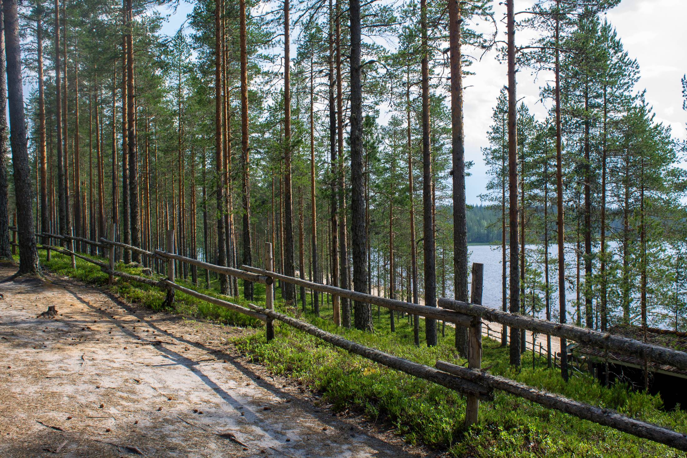 Nuorisokeskus Metsäkartano polut