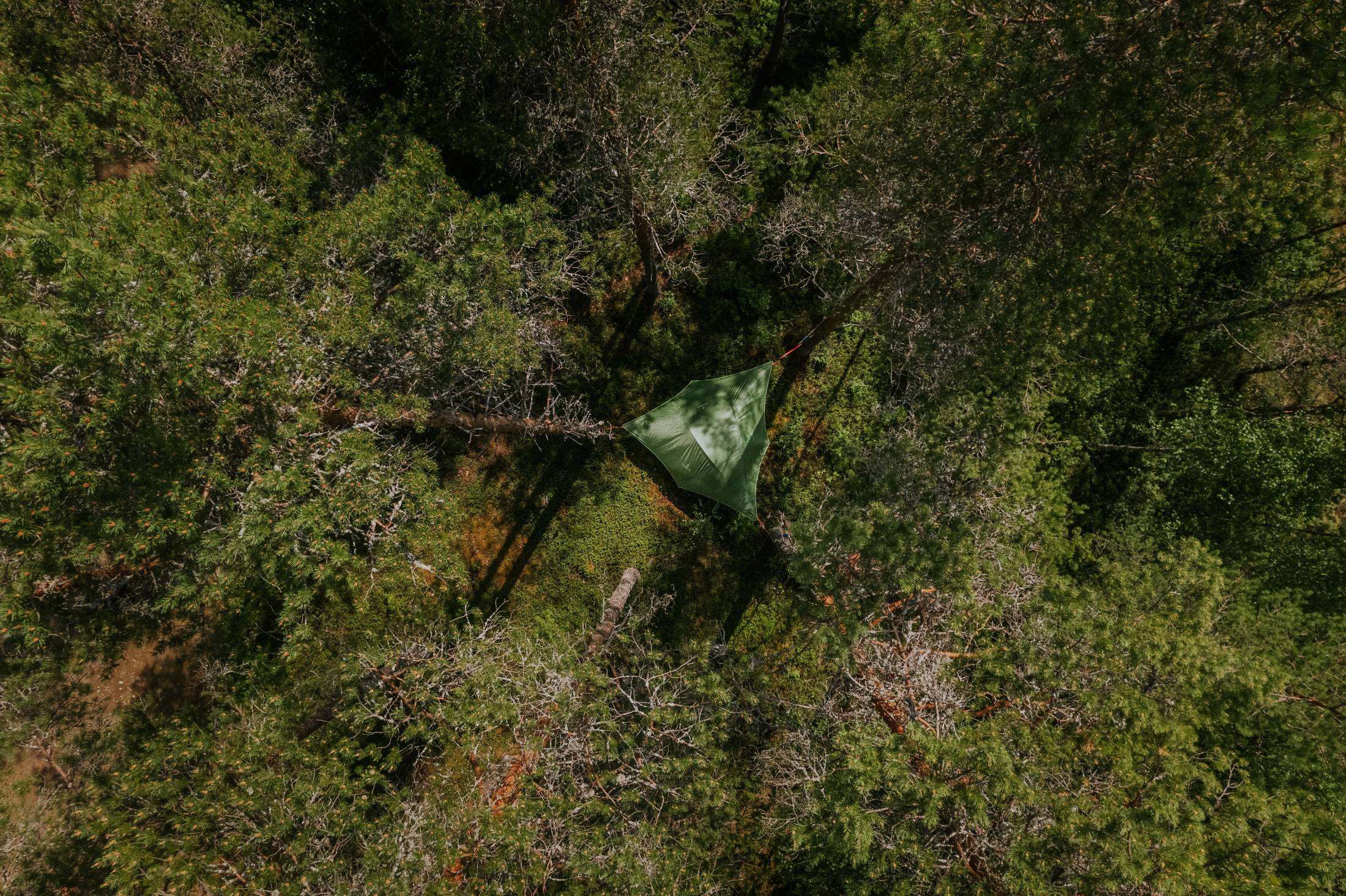 Metsäkartano Youth Centre tentsile 