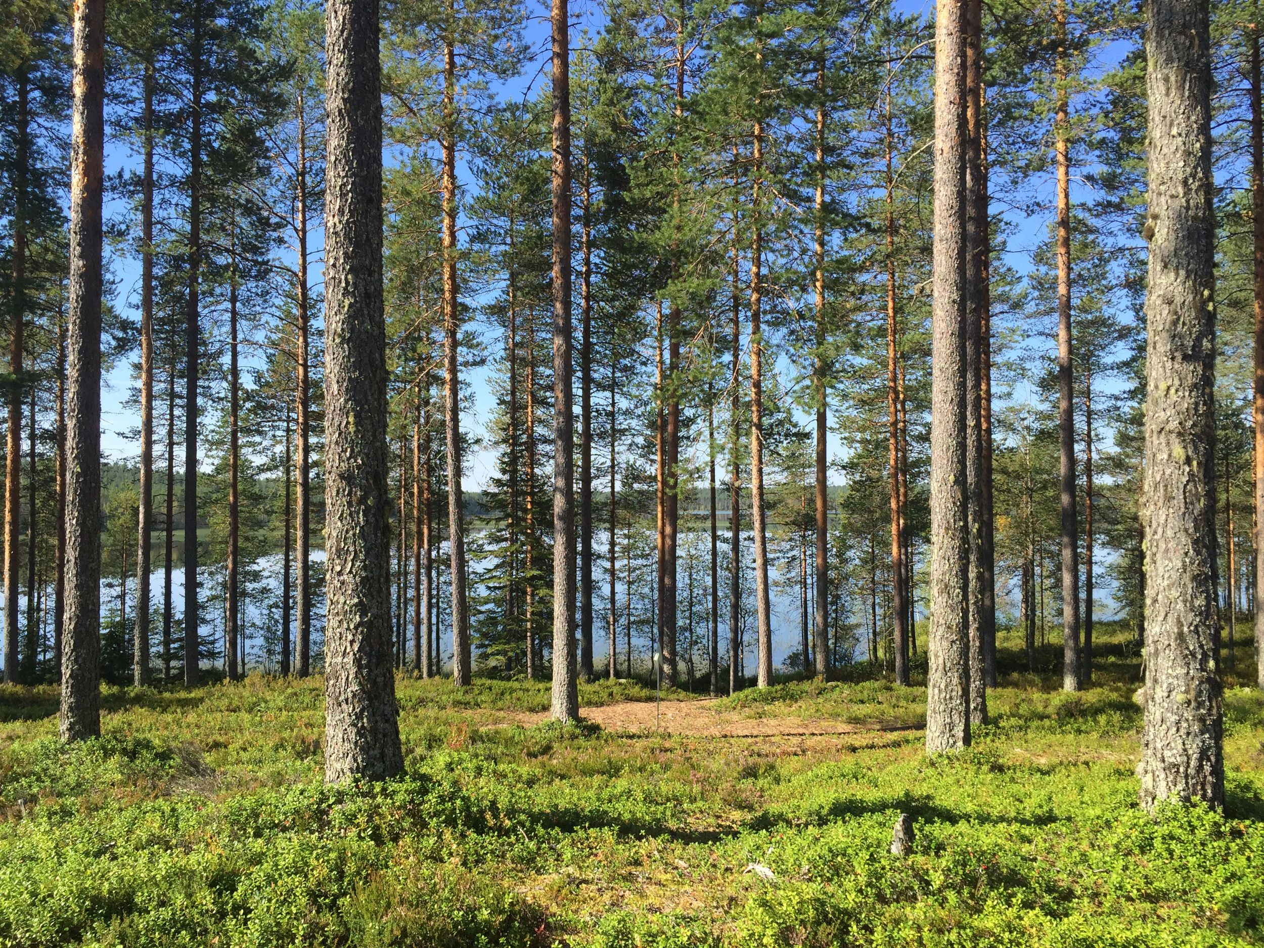 Metsäkartano camping