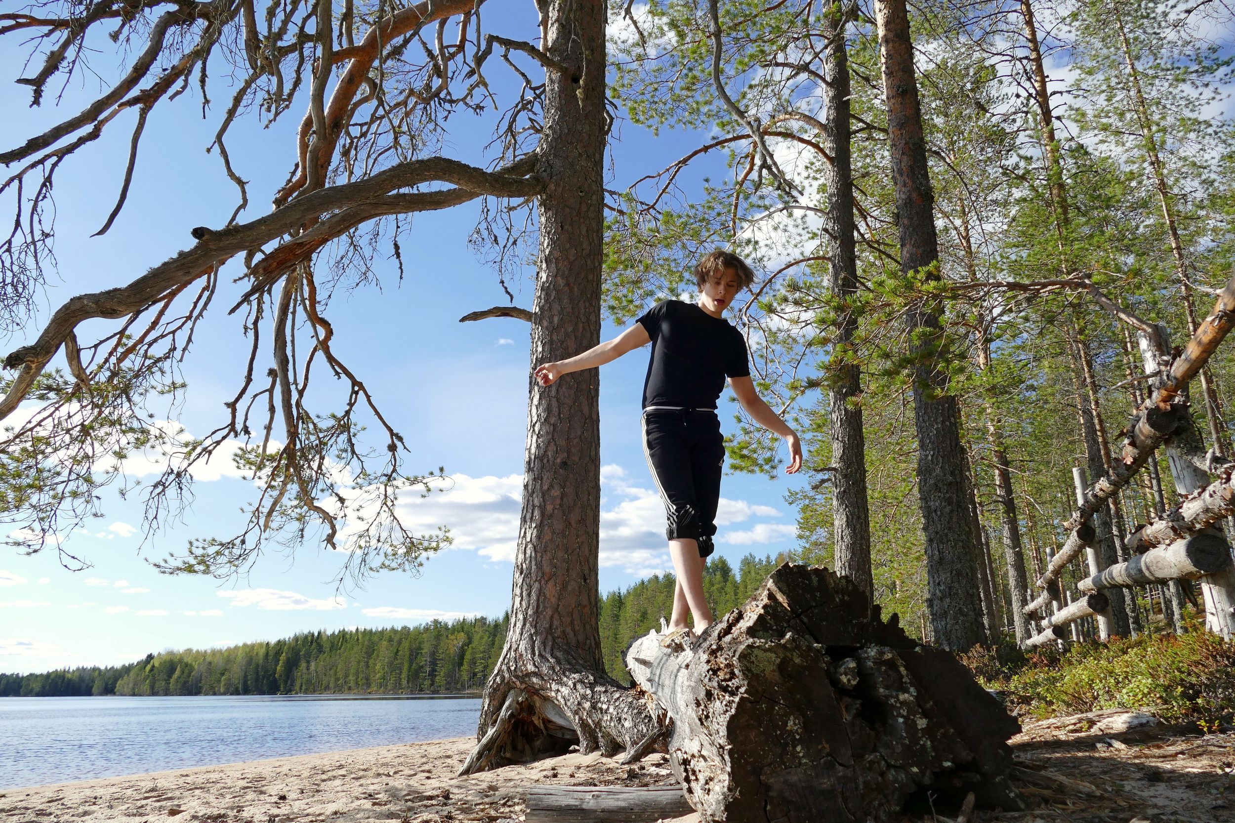 Metsäkartano Youth Centre Nature
