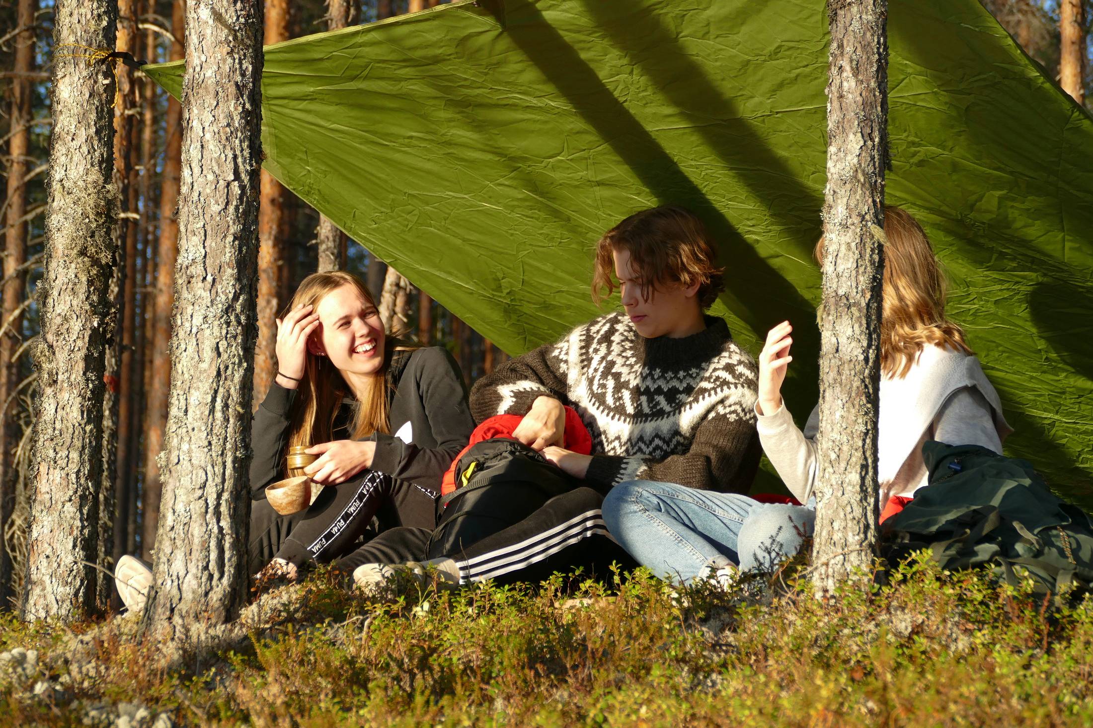 Metsäkartano leirintäalue — photo 5
