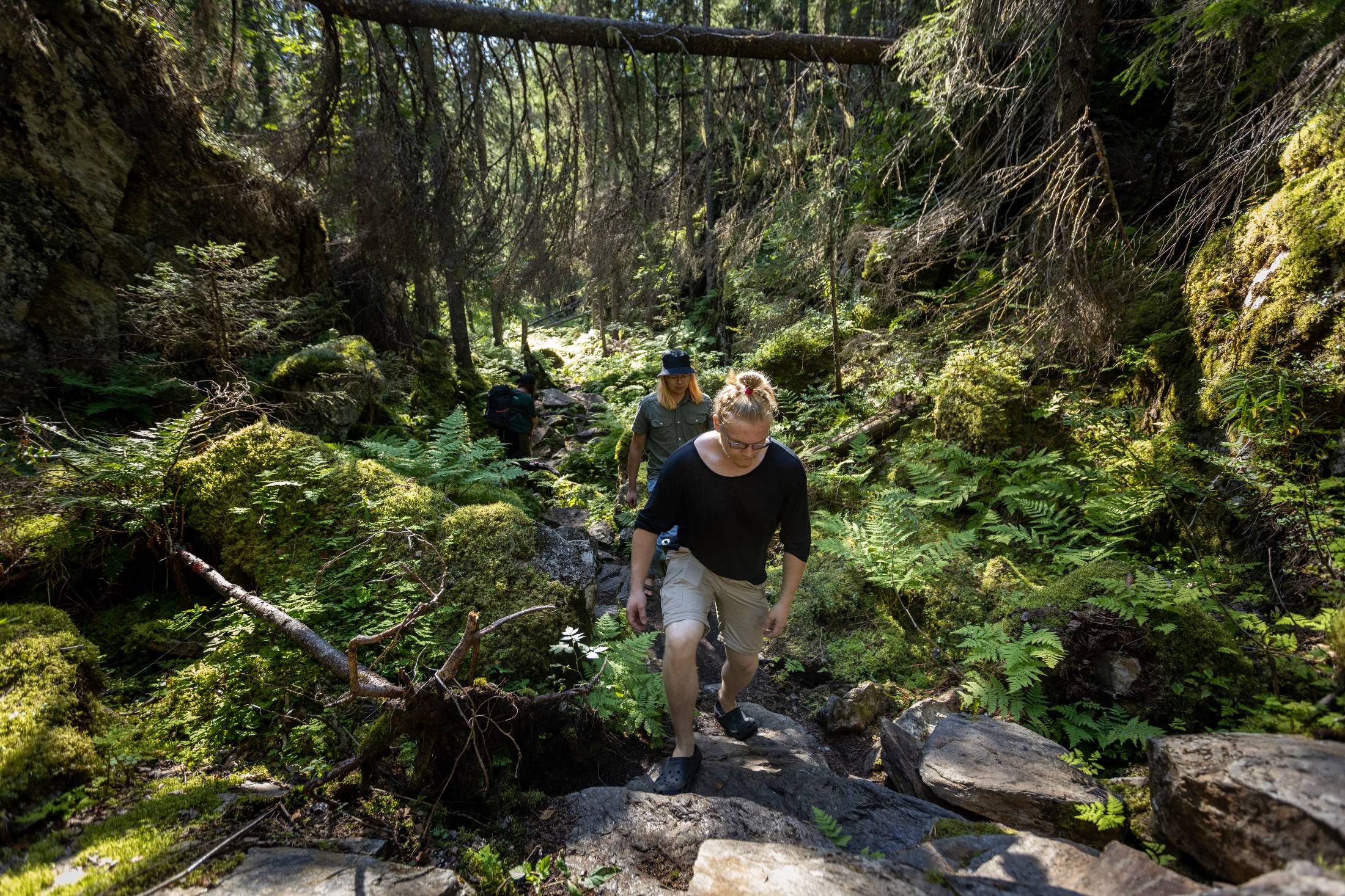 Nuorisokeskus Metsäkartano Tiilikkajärven kansallispuisto