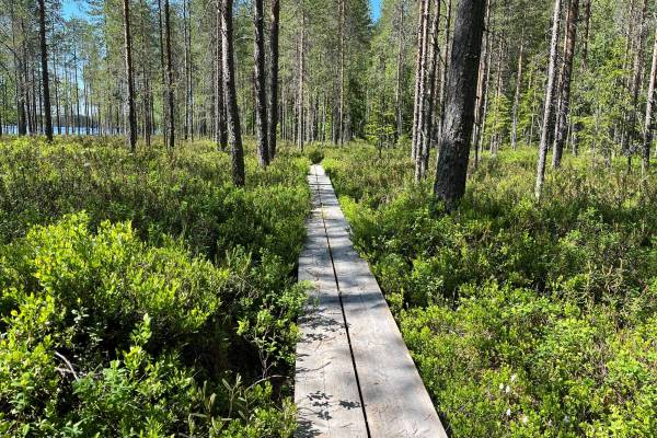 Nuorisokeskus Metsäkartano MTB-reitti